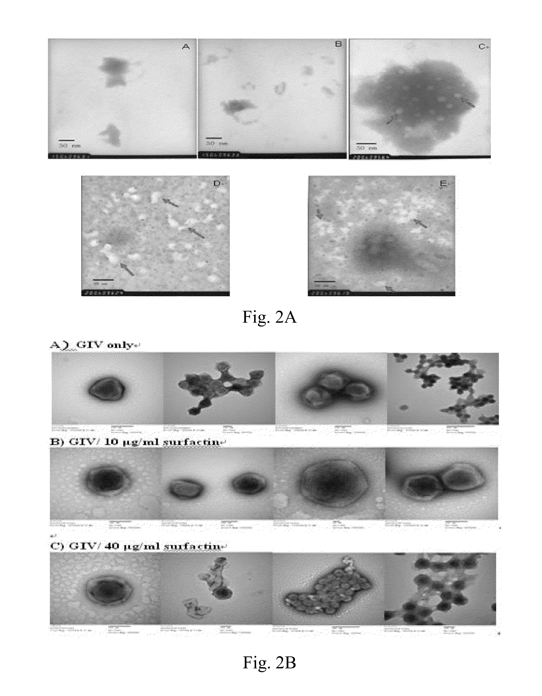 Method for producing feed additive containing surfactin