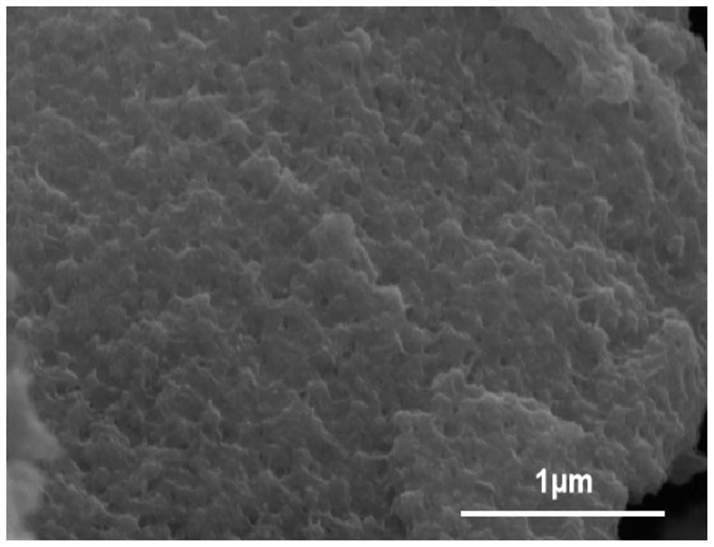 Preparation method of Ni/C composite conductive powder