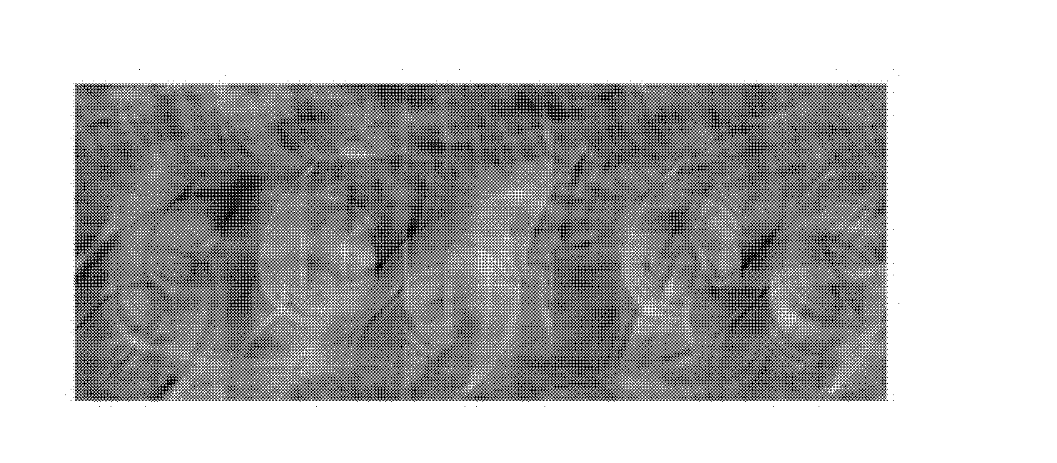 Hyperbolic equation image encryption method