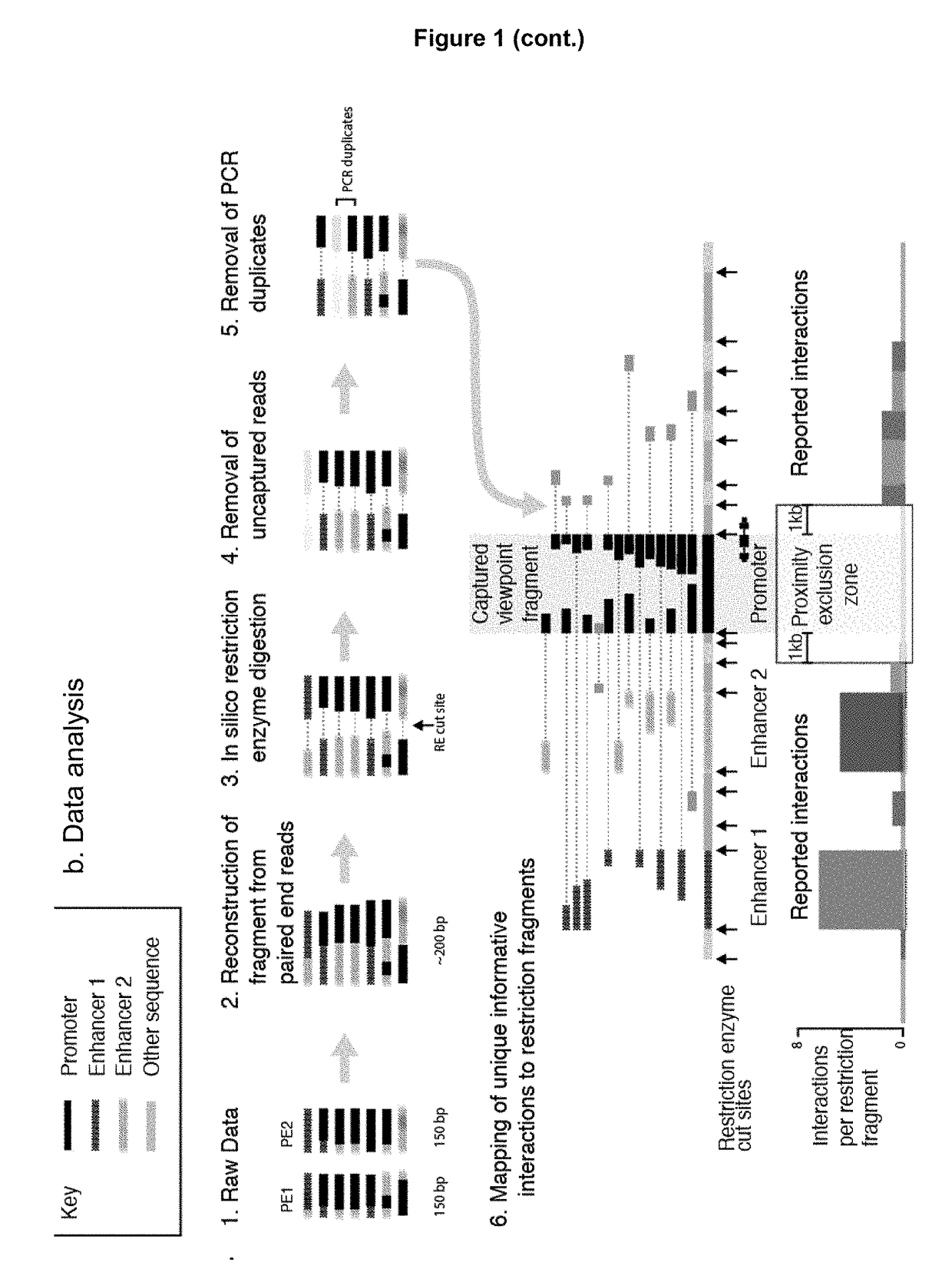 Method of analysing DNA sequences