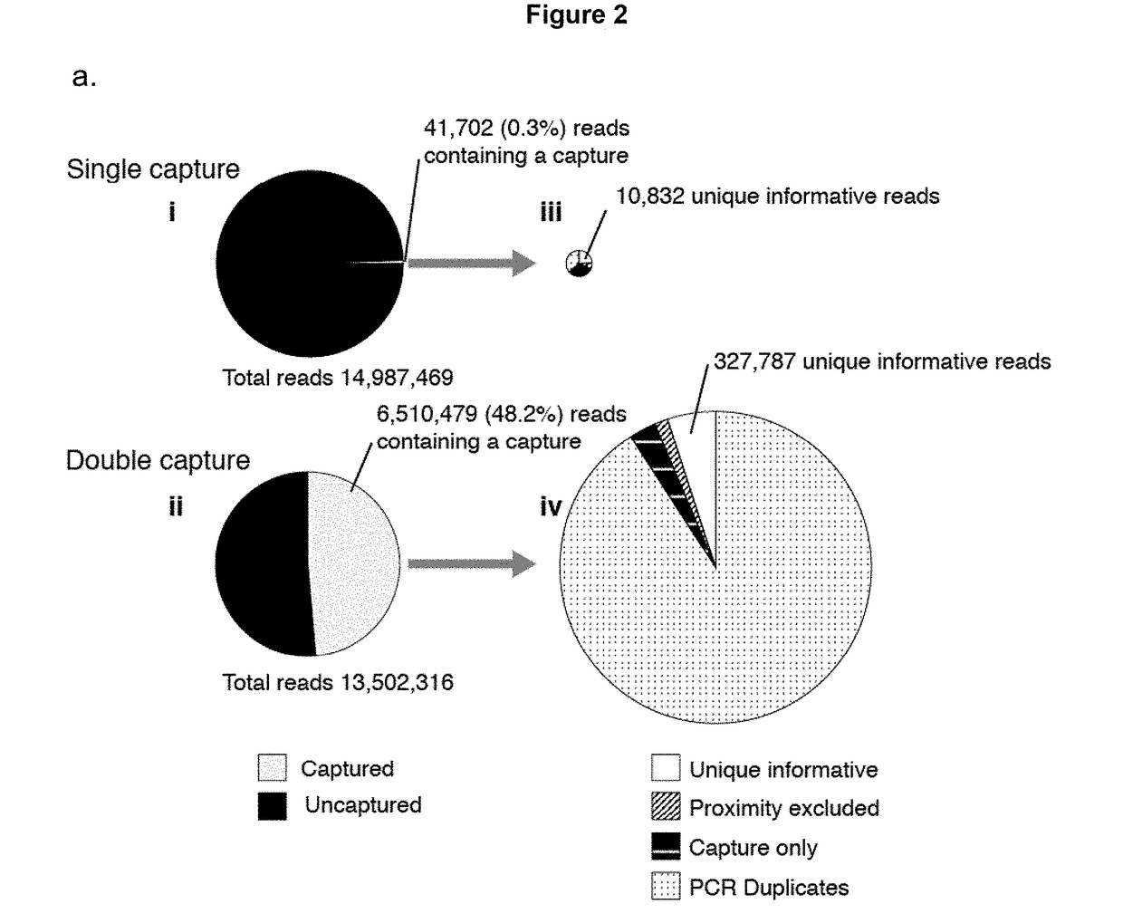 Method of analysing DNA sequences