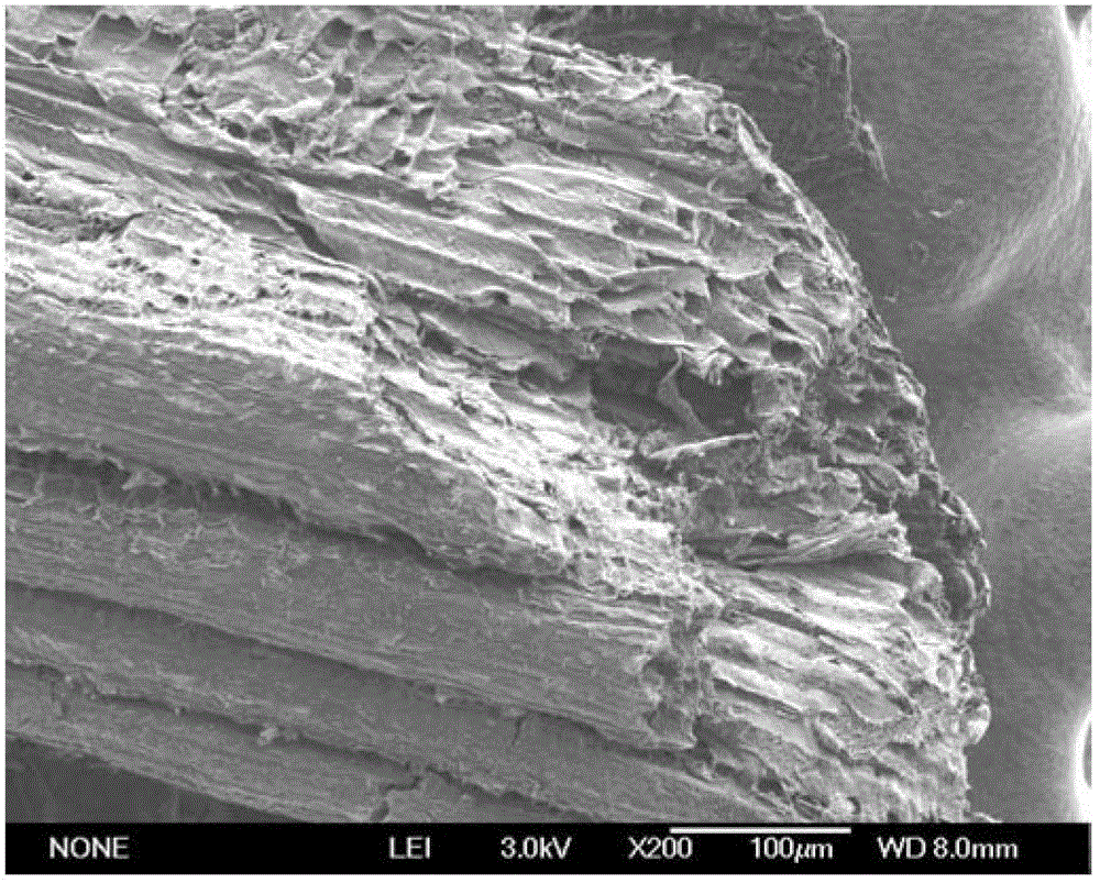 Preparation method of melon seed peel-based activated carbon for efficiently adsorbing CO2