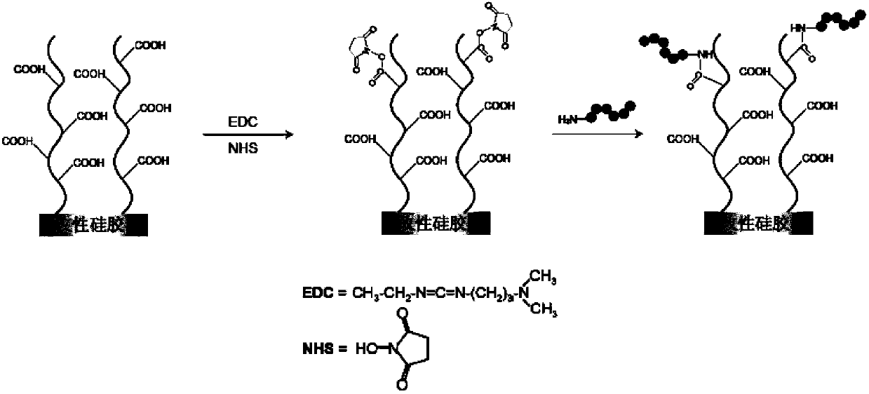 Polypeptide, detective device and detective kit containing the polypeptide