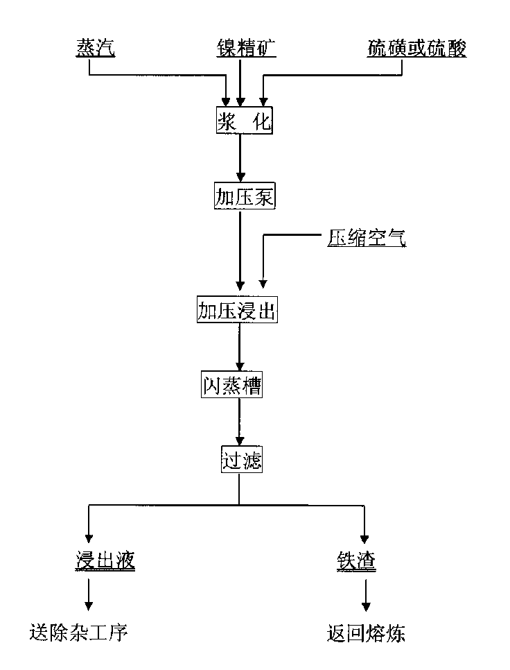 Process for extracting nickel from nickel sulfide material with low copper content