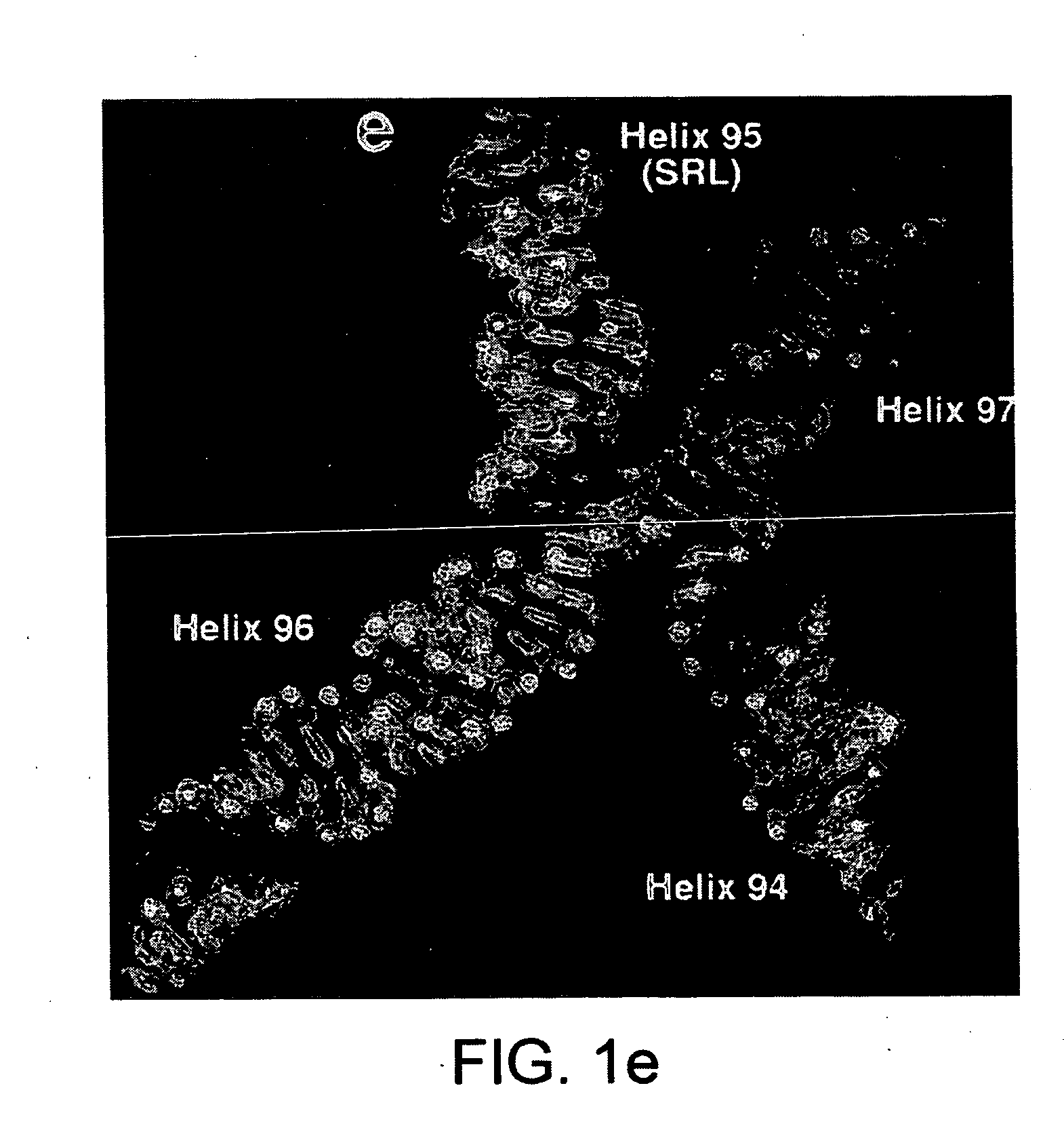 Ribosome structure and protein synthesis inhibitors