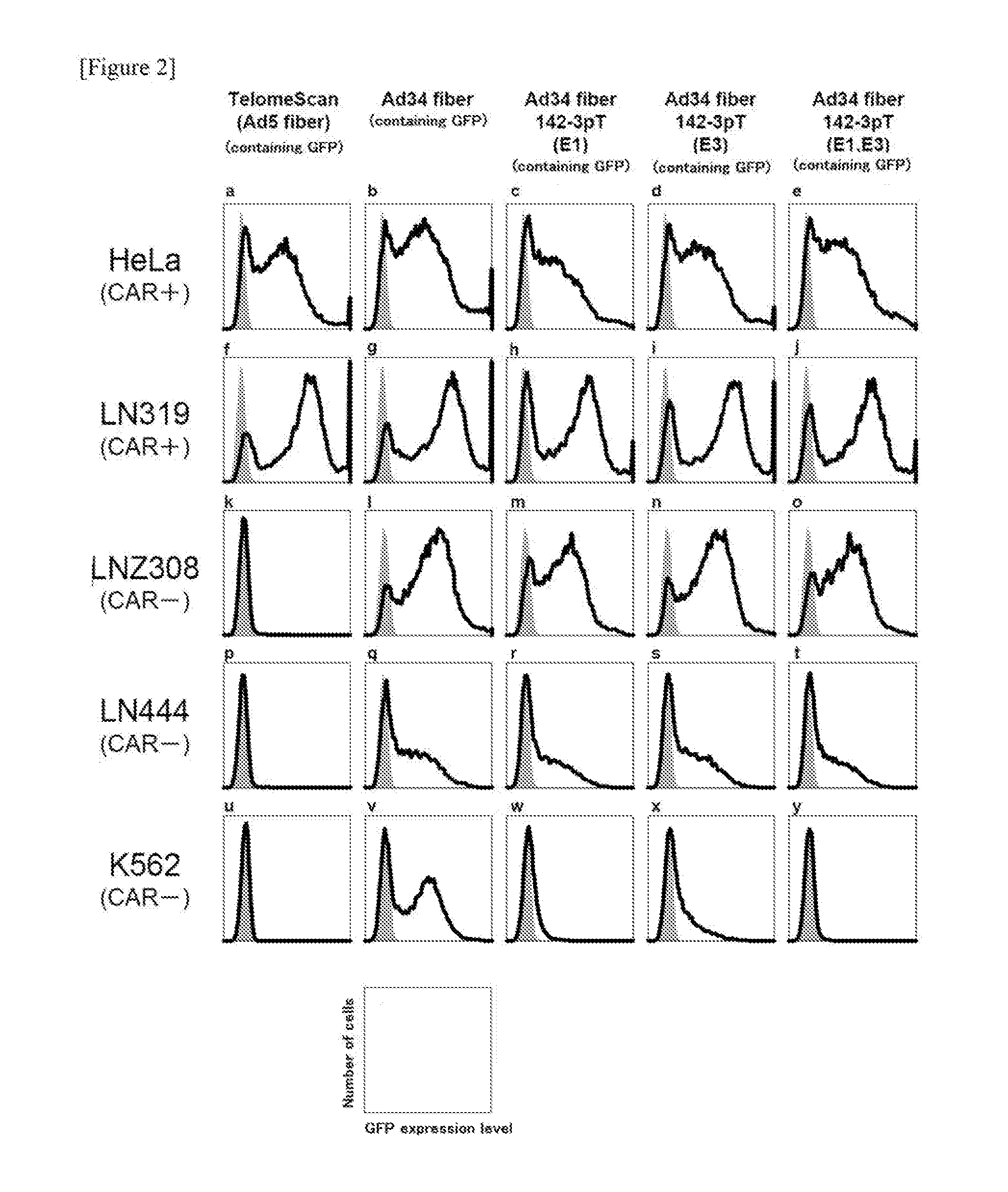 Conditionally replicating adenovirus