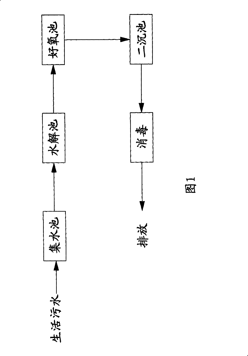 Method for processing sewerage by A/O biological contact oxidation process