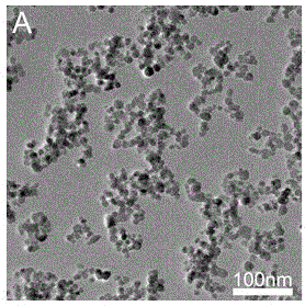 Preparation and recovery methods for magnetic clay adsorption material