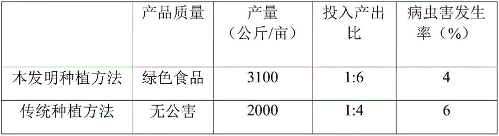 High-yield planting method of eriobotrya japonica