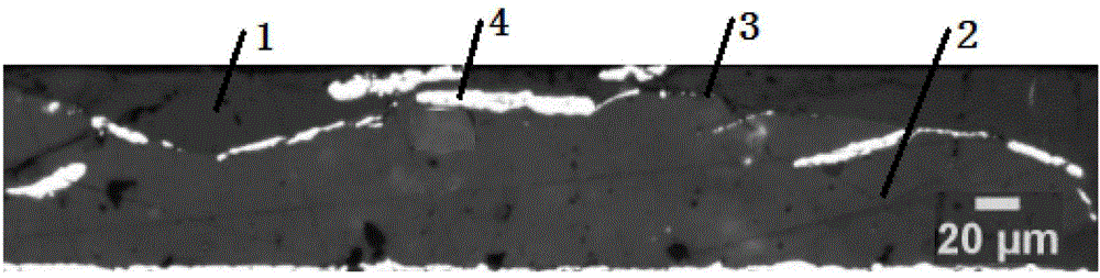 Powder coating with effect of color changing along with angle and preparation method thereof