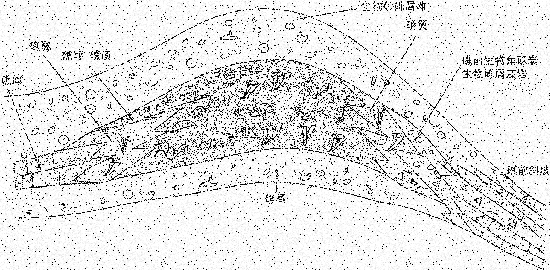 Method for identifying reservoir by combining electrical imaging and reef geologic model