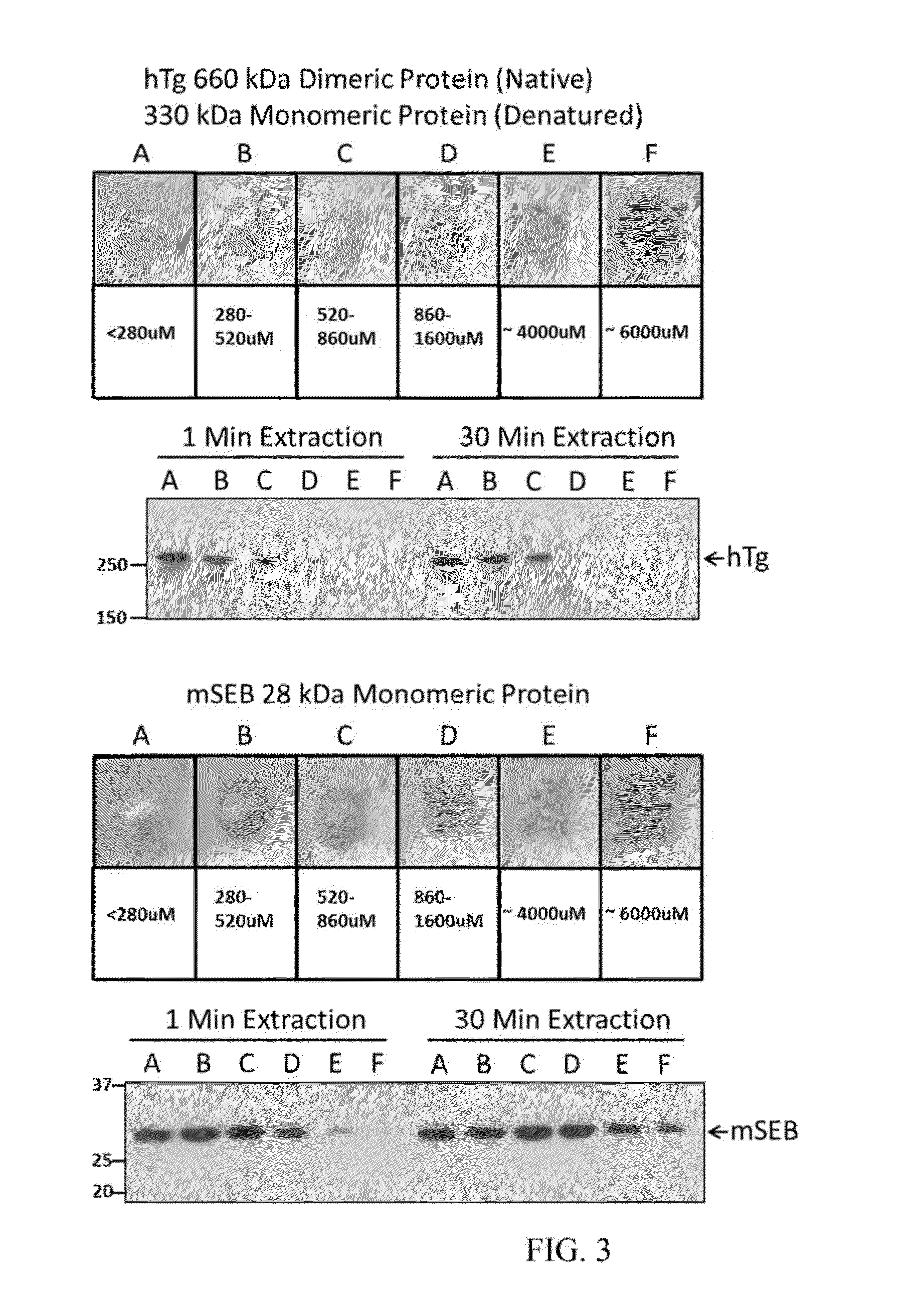 Enzymes Manufactured in Transgenic Soybean for Plant Biomass Engineering and Organopollutant Bioremediation