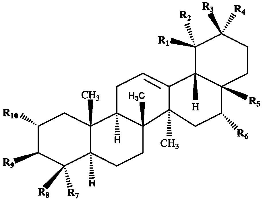 Use of pentacyclic triterpenoids compounds in preparing bacterial hemolysin inhibitors