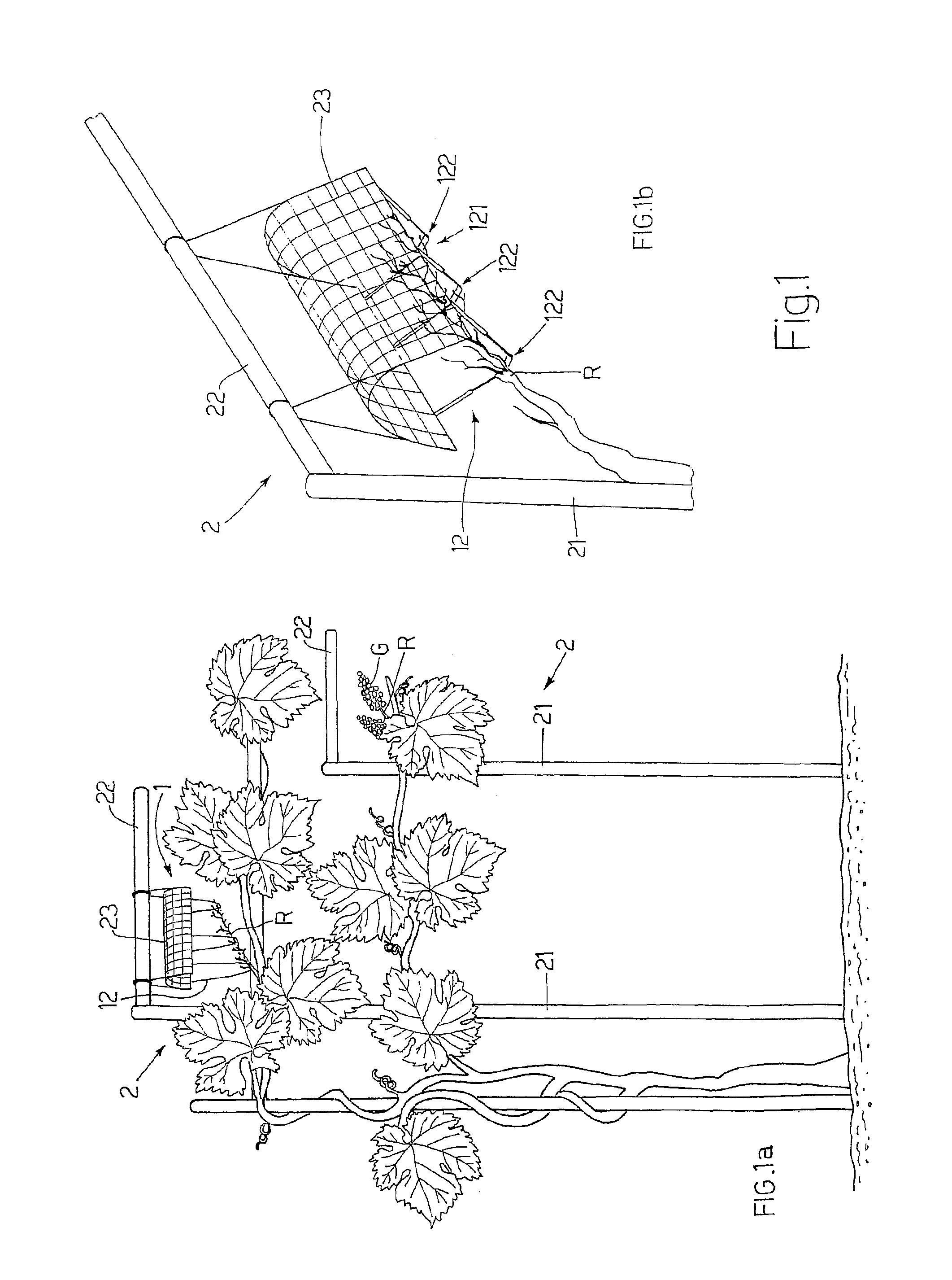 Process for controlling grapevine ripening and relative piece of equipment