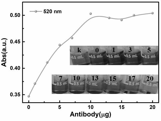 Ratio immunoassay method with commercial magnetic beads as internal standard