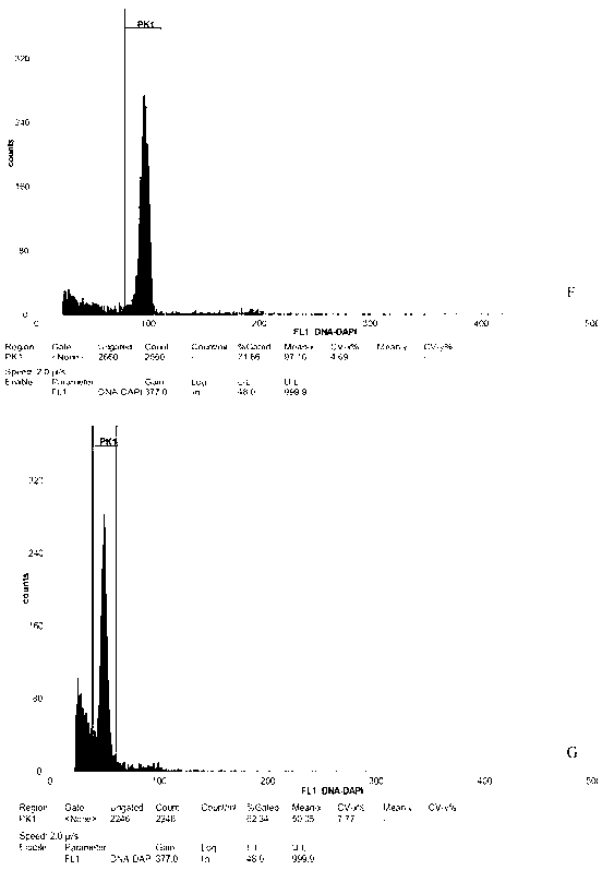 Method for inducing haploid endosperm callus tissues by using ripe endosperms of taxales chinensis var.mairei