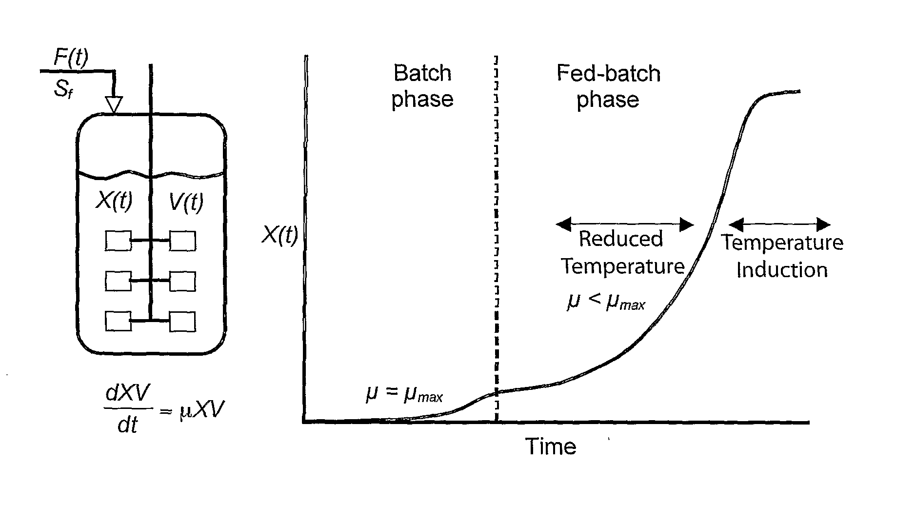Process for Plasmid Dna Fermentation