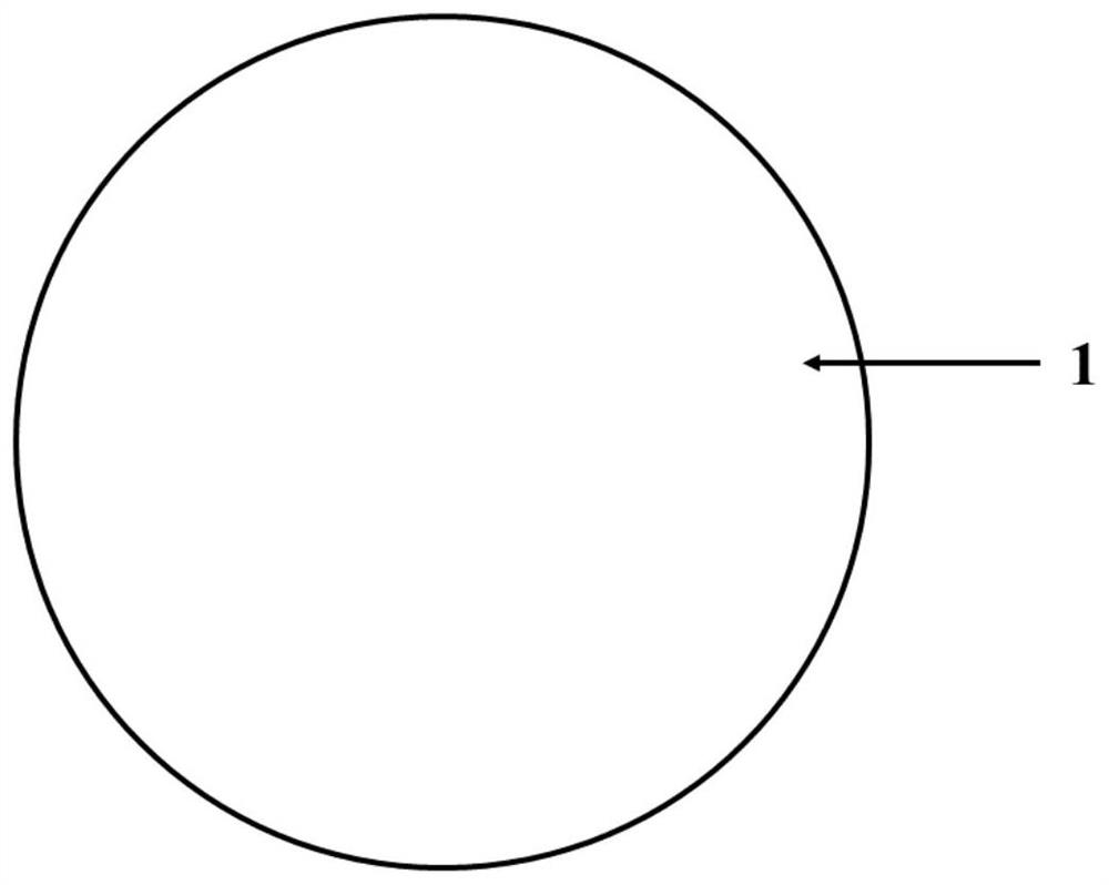 Preparation method of artificial compound eye made of PDMS material