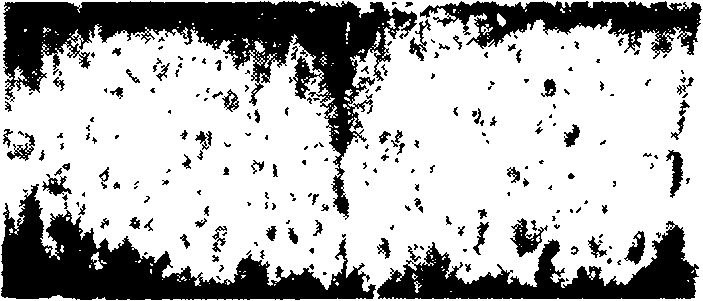 Intelligent processing method for repairing concrete crack surface image