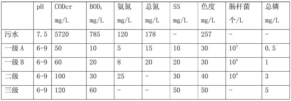 Treatment process for treating organic sewage by using ionizing radiation in cooperation with catalyst