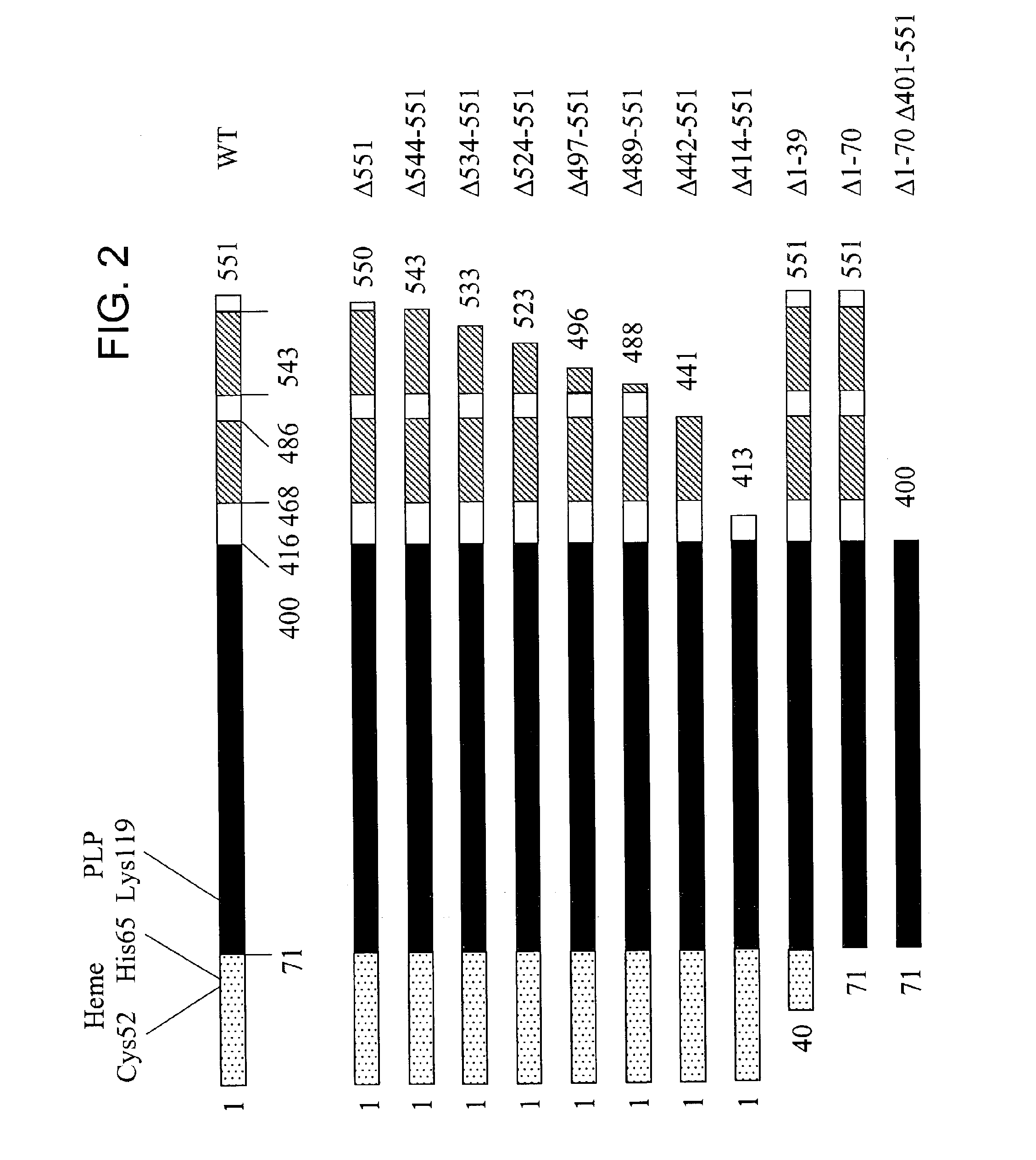 Human Cystathionine beta-Synthase Variants and Methods of Production Thereof