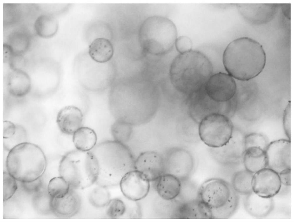 Expandable foaming microsphere capable of being post-crosslinked at high temperature and preparation method thereof