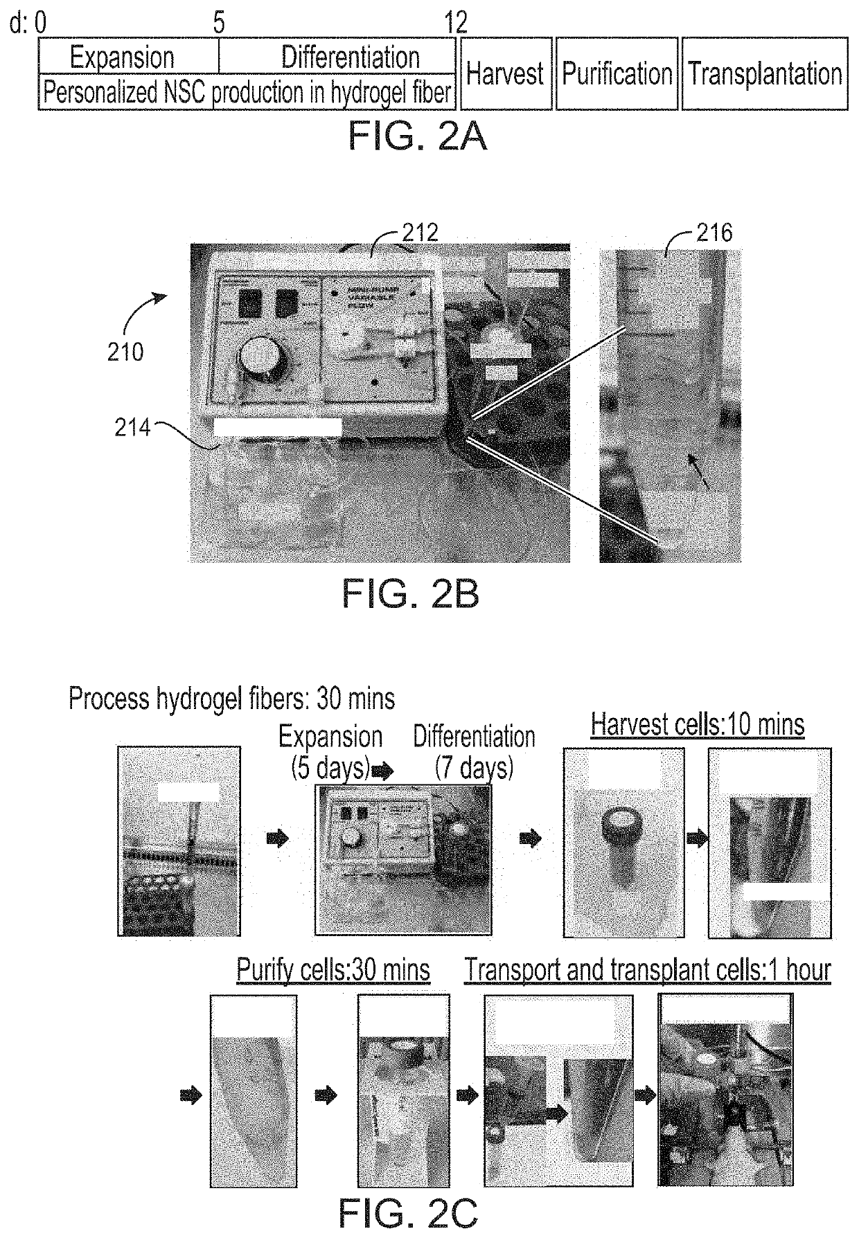 Personalized cellular biomanufacturing with a closed, miniature cell culture system