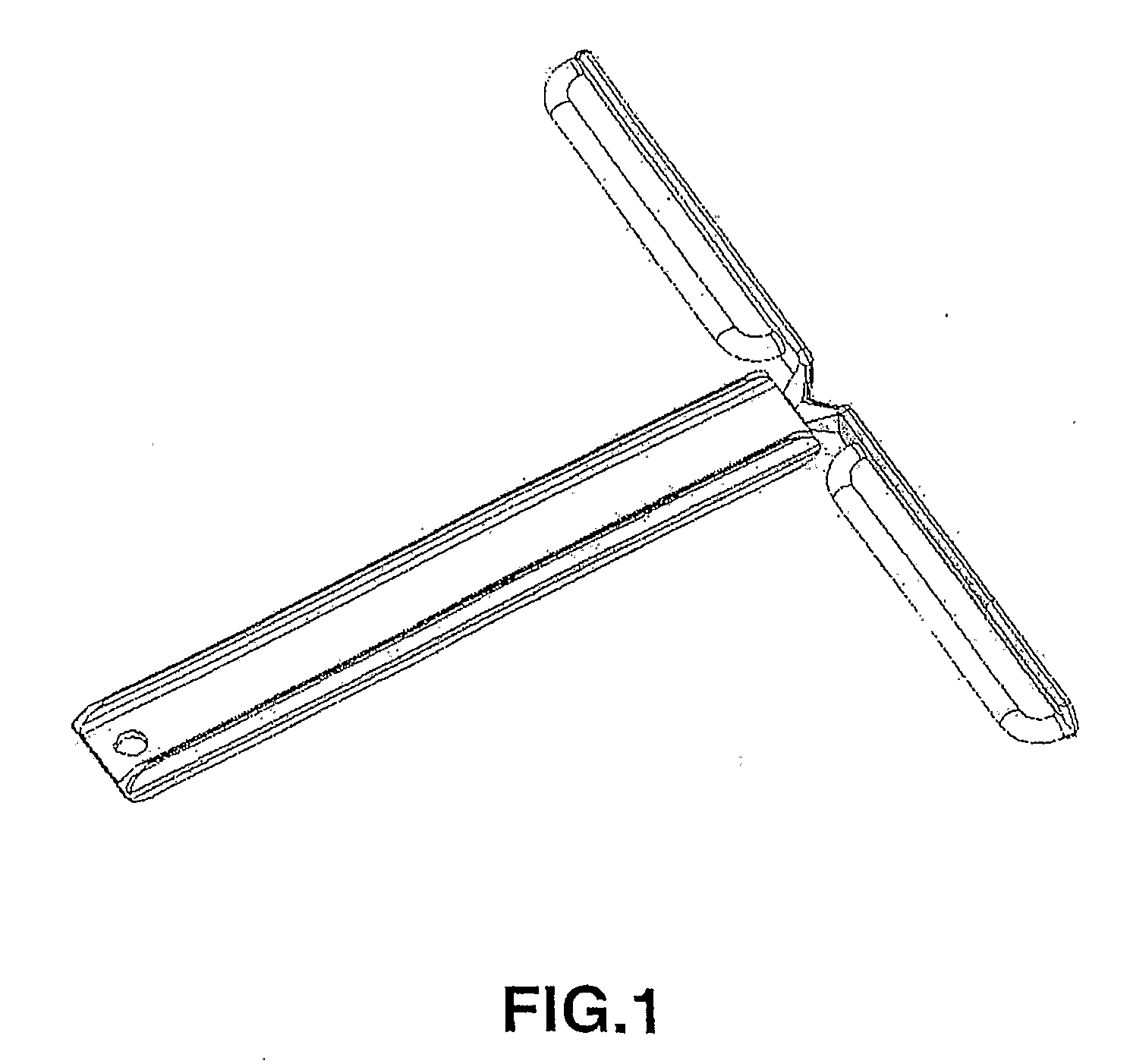 Polymeric implant and a process for obtaining a polymeric implant