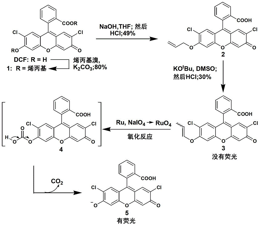 Fluorescent compound and application in ruthenium detection