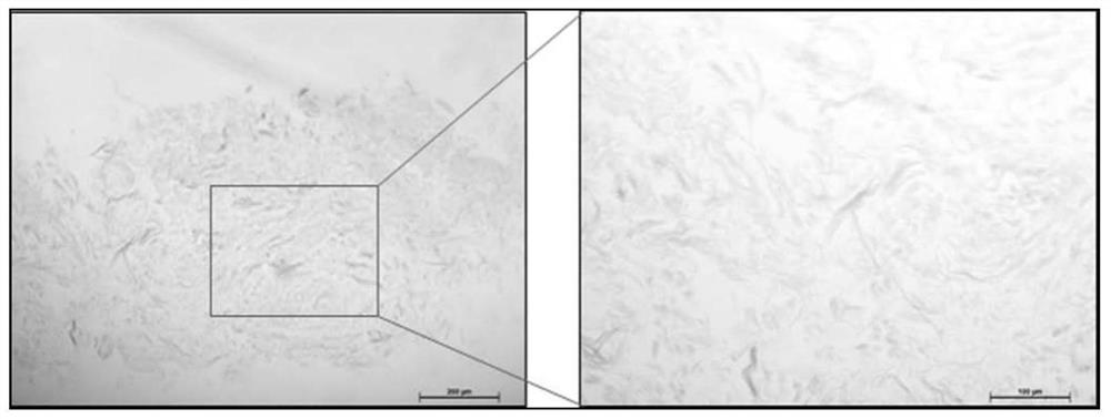 Preparation method and application of artificial microparticle skin