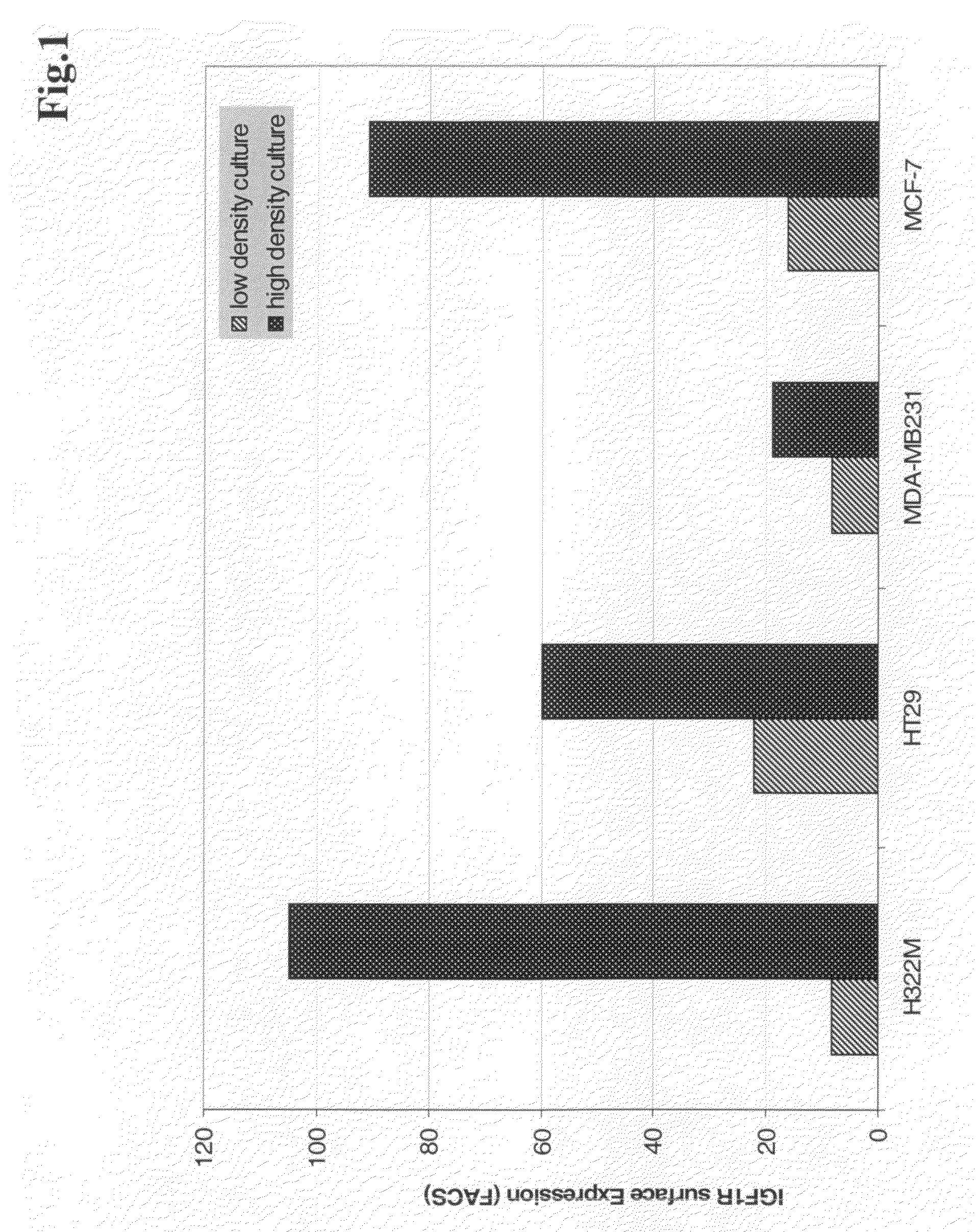 Antibodies against insulin-like growth factor i receptor and uses thereof