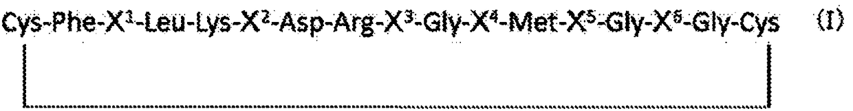 Cnp cyclic peptide, and medicine, external preparation and cosmetic each containing said cyclic peptide