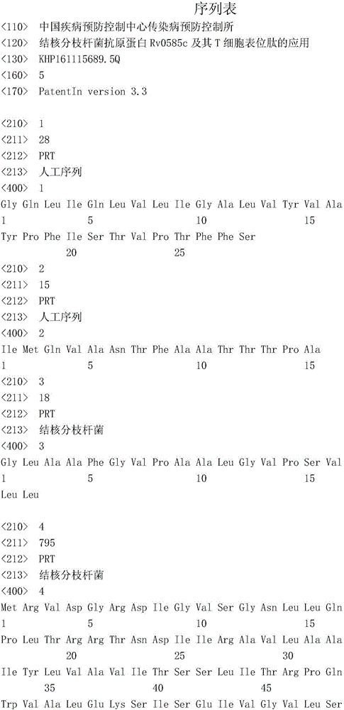 Mycobacterium tuberculosis antigen protein Rv0585c and application of T cell epitope peptide thereof