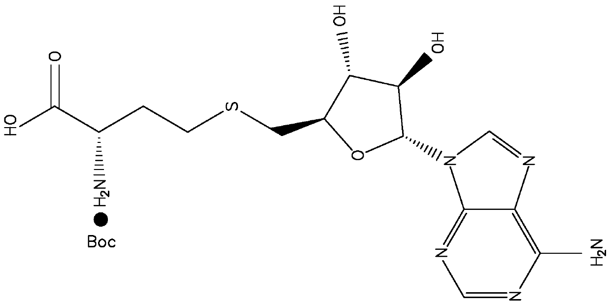 SAM (S-Adenosyl-L-homocysteine) artificial complete antigen, preparation method and application