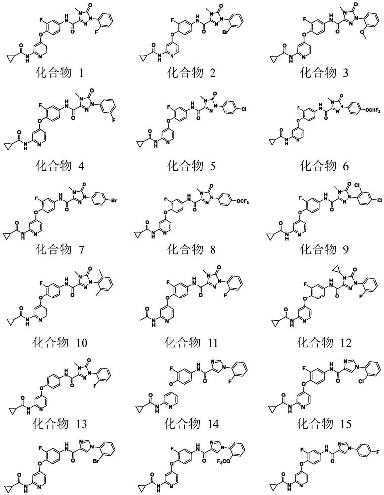 Pyridine compounds containing triazole keto-amide and orazamide structures and application of pyridine compounds