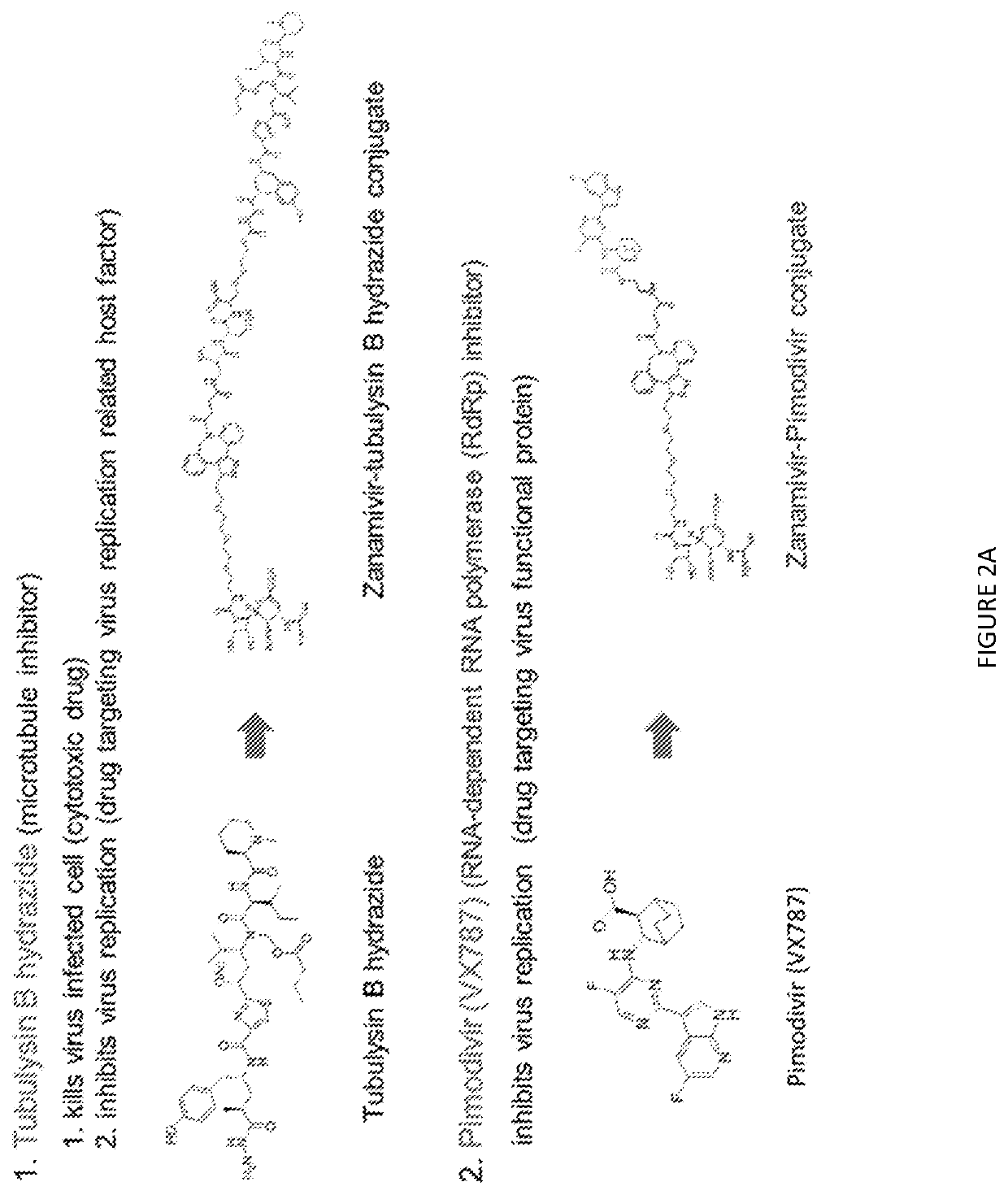 Small molecule ligand-targeted drug conjugates for Anti-influenza chemotherapy and immunotherapy