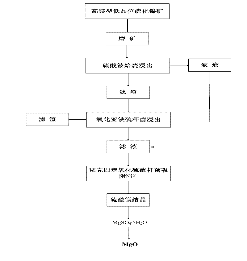 Method for recovering nickel and magnesium elements from high-magnesium low-grade nickel sulfide ore