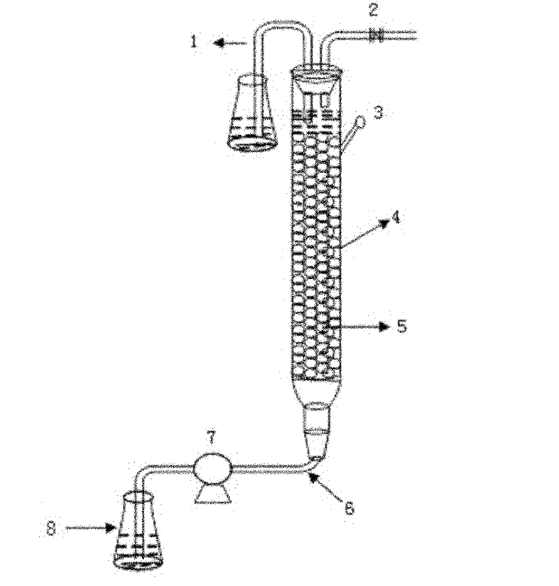 Method for recovering nickel and magnesium elements from high-magnesium low-grade nickel sulfide ore