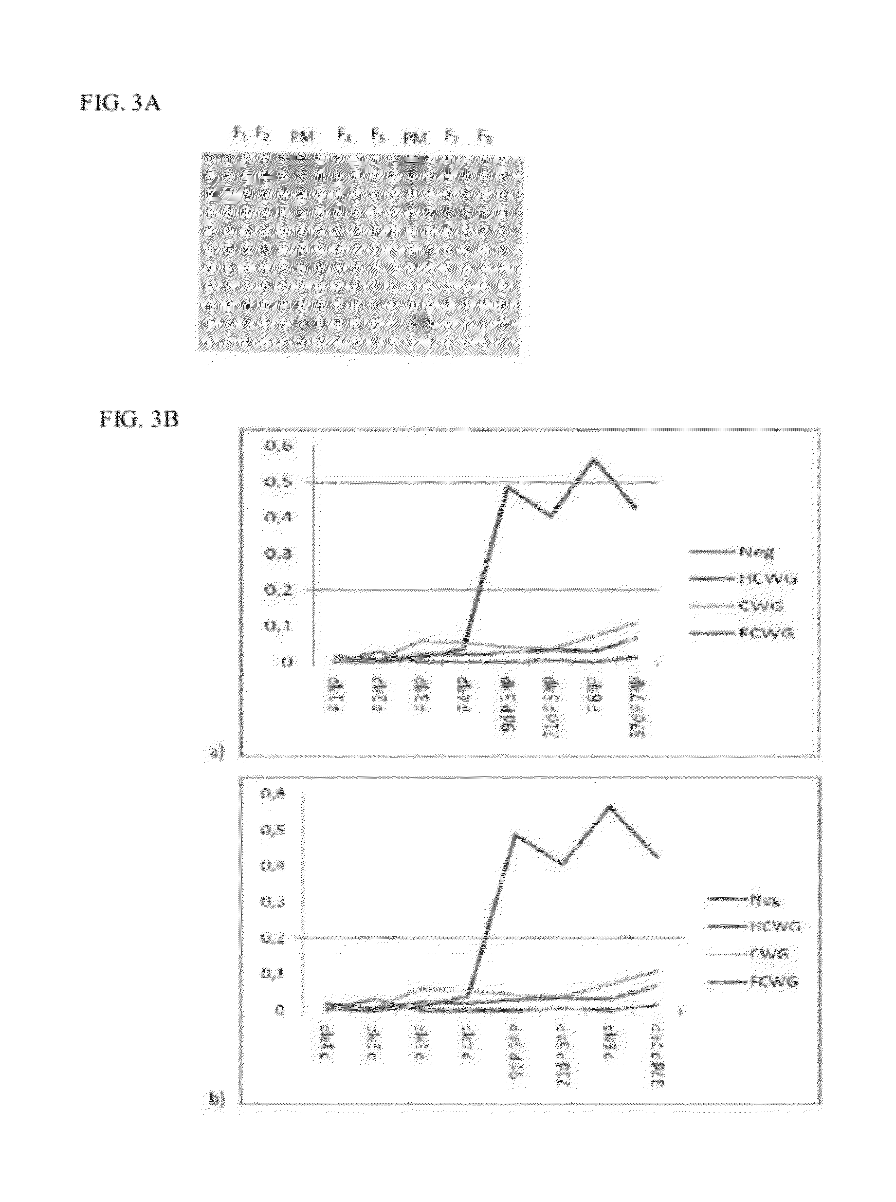Immunogens, compositons and uses thereof, method for preparing same