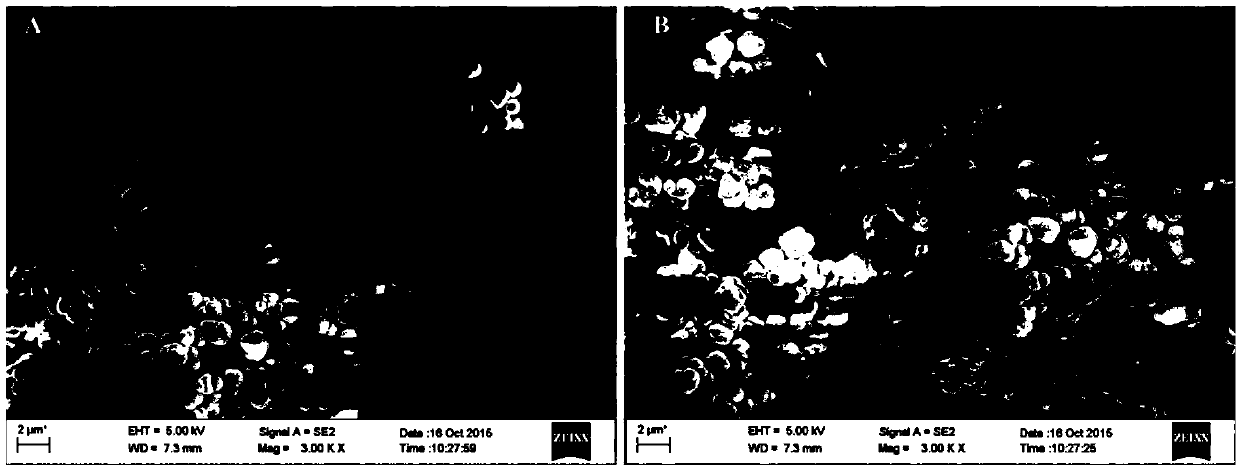 Preparation of a kind of organic monolithic small column and organic monolithic small column and application