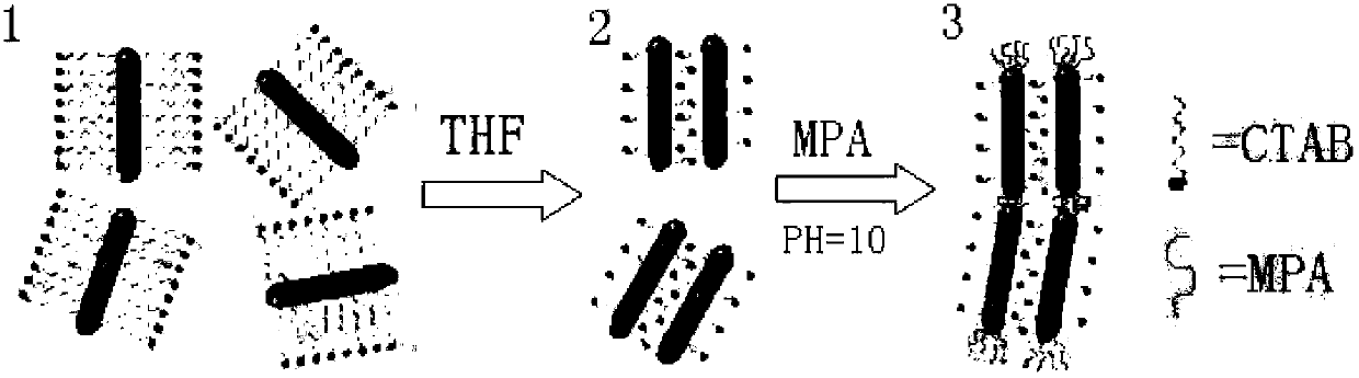 Tetrahydrofuran-induced gold nanorod controllable assembly and preparation method thereof