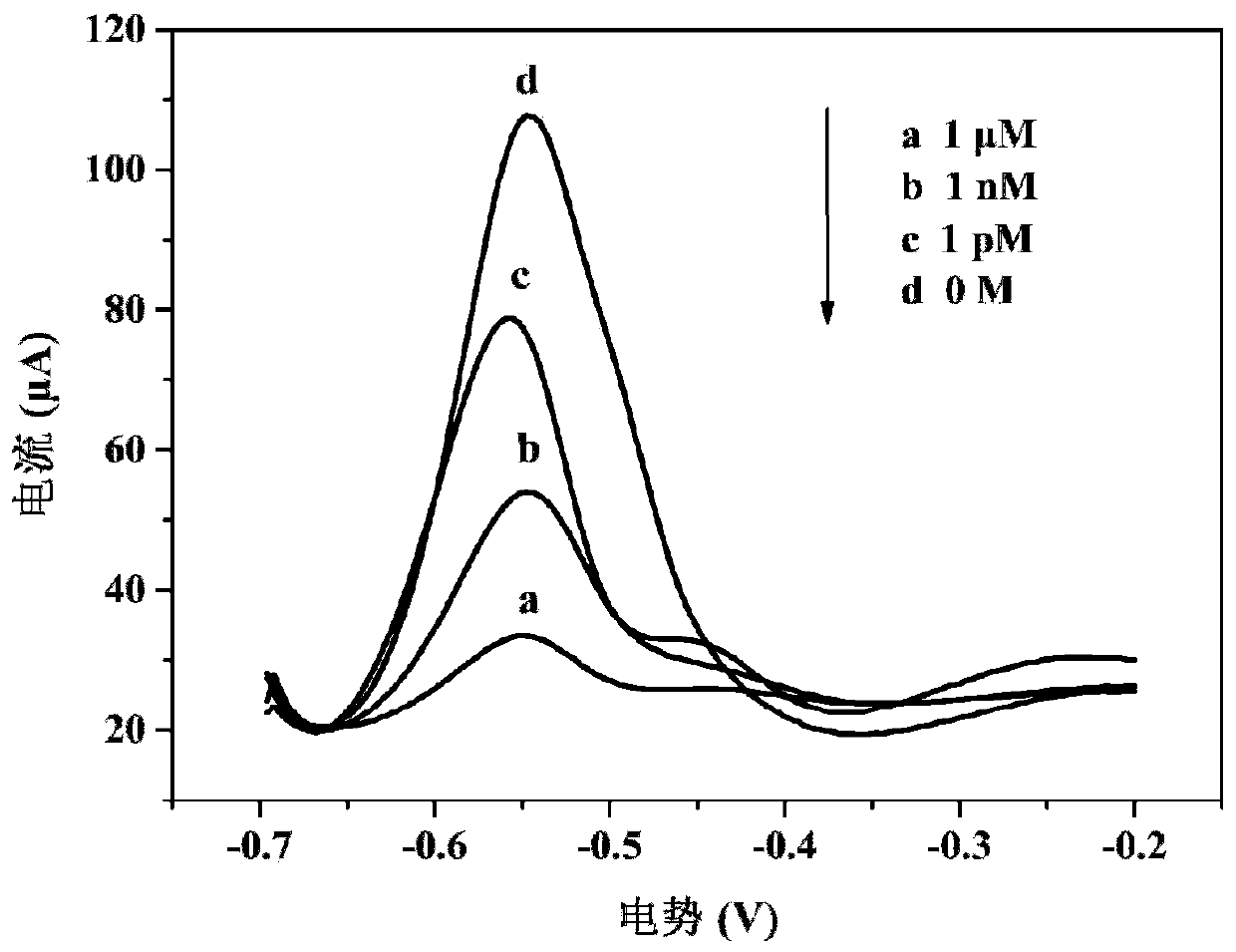 Electrochemical DNA sensor for detecting mercury ion or cysteine, preparation method and application thereof