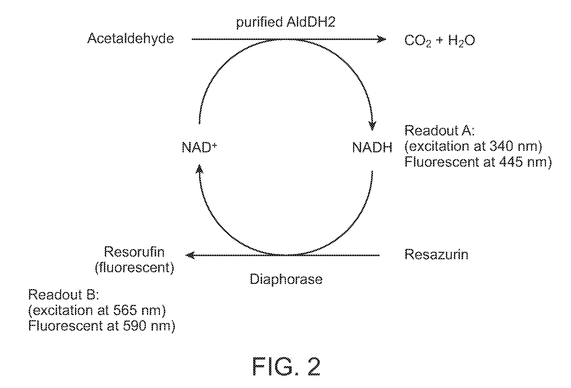 Mitochondrial aldehyde dehydrogenase-2 modulators and methods of use thereof