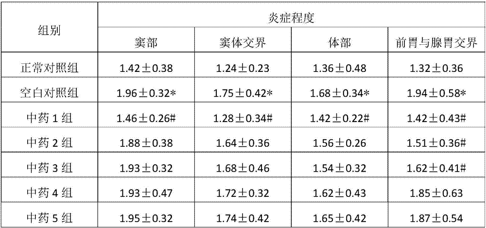 Traditional Chinese medicine composition for treating chronic atrophic gastritis and application thereof