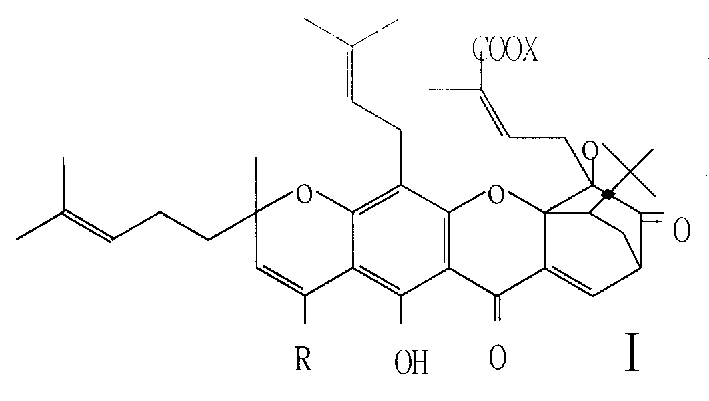 Salt of gambogicacid class compound, its preparation method, and medication combination with salt as active ingredient