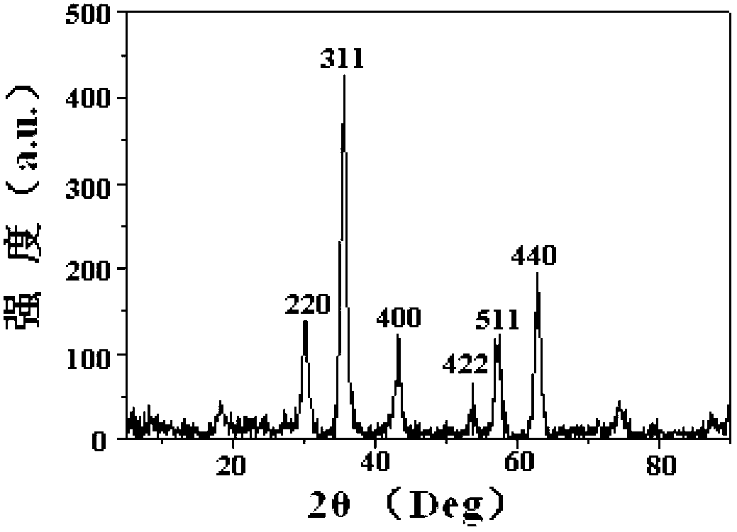 Preparation method of agarose immune magnetic microspheres and applications thereof