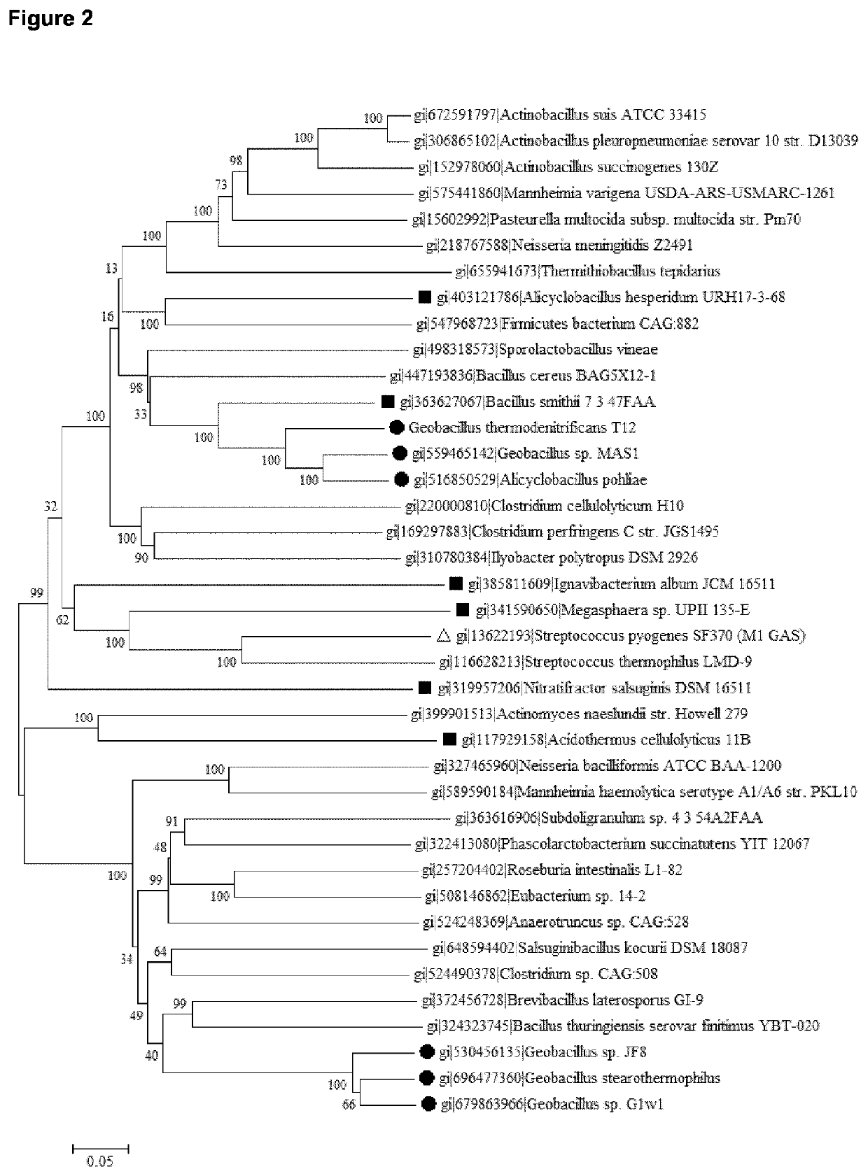 Thermostable Cas9 nucleases