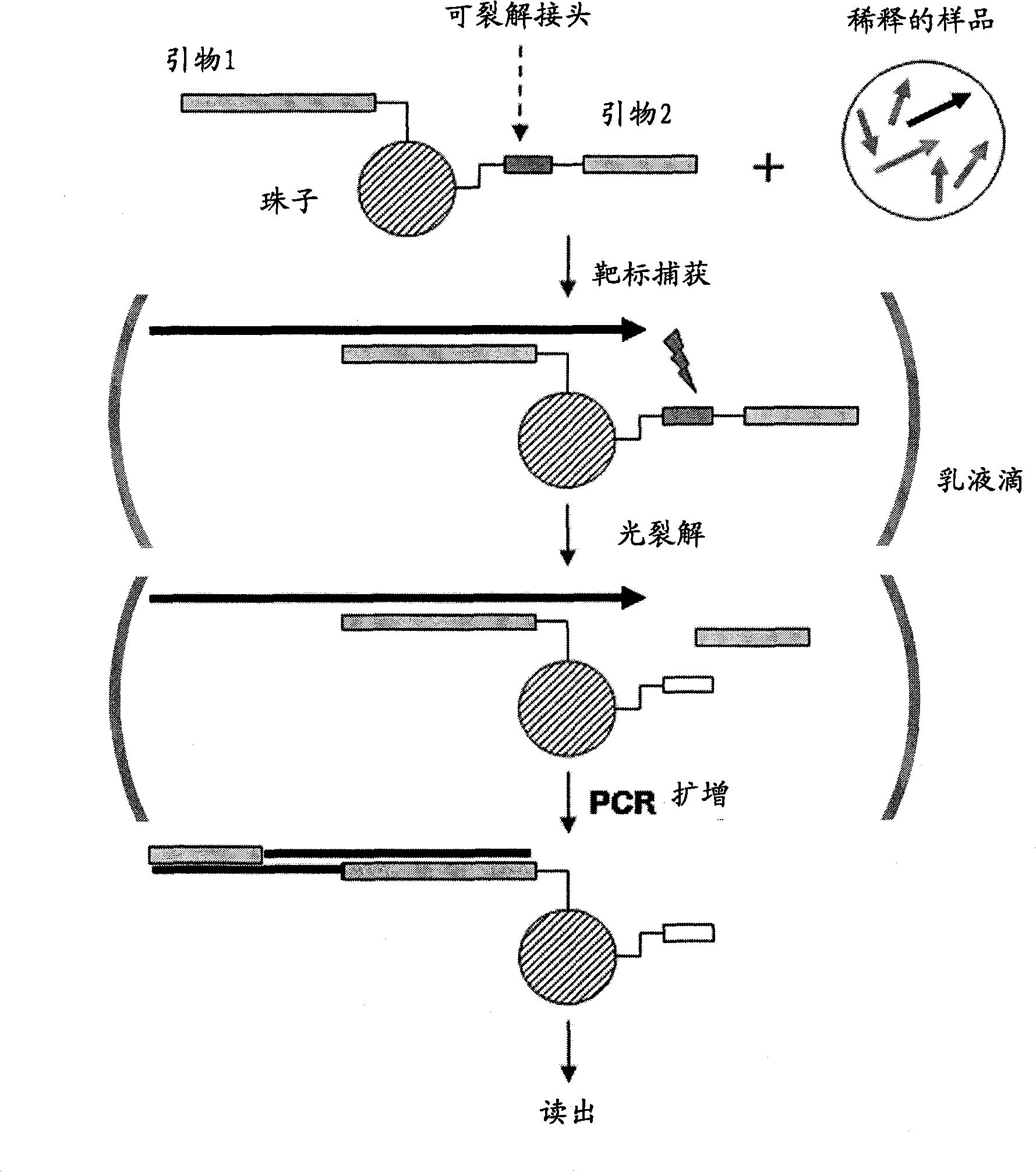 Beads for high-throughput nucleic acid analysis