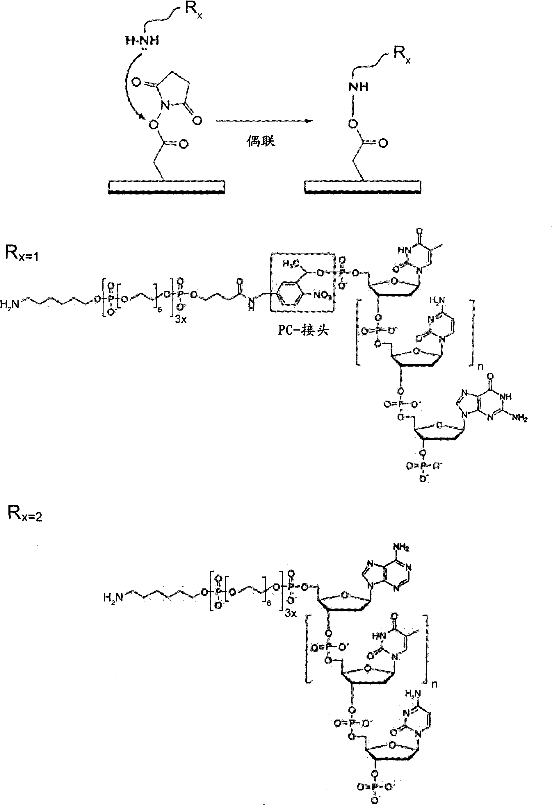 Beads for high-throughput nucleic acid analysis