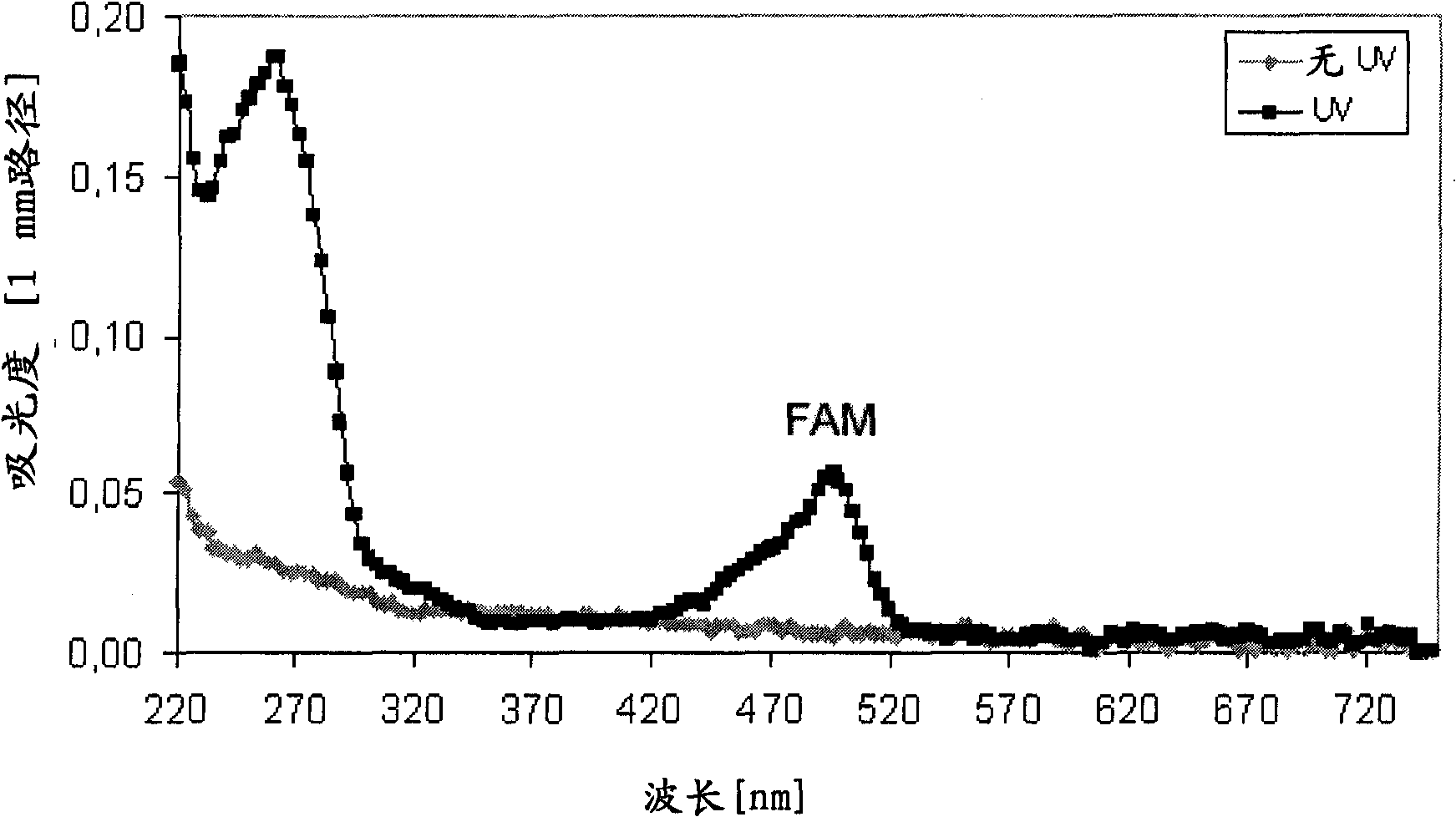 Beads for high-throughput nucleic acid analysis